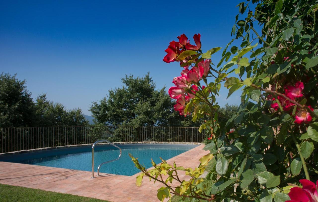Villa Tinaia - Homelike Villas Molinelli Exterior photo